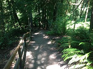 Watershed Park, Olympia.jpg