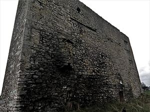 Woodstock Castle, Athy 3