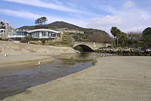 Aliso Creek Mouth