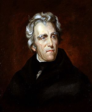 Andrew Jackson.jpg