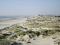 Berck - Les dunes