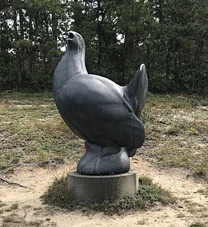 Booming Ben, the last heath hen