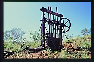 Bower Bird Battery (1993).jpg