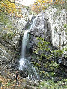 Boyana waterfall