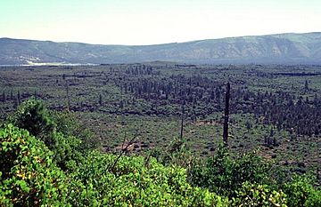 Brushy Butte.jpg