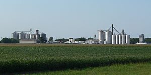 Grain bins in Byron, seen from the south,August 2011