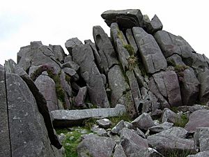 Carn Menyn bluestones - geograph.org.uk - 1451509