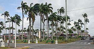 Cayenne Place des palmistes