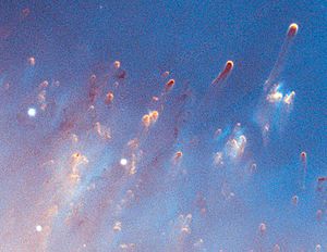 Close-Up of the Helix Nebula