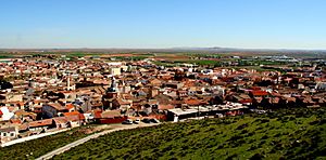 Consuegra (49081705347) (cropped).jpg