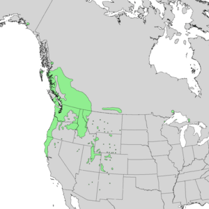 Crataegus douglasii range map 2.png