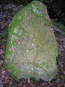 Eglinton glacial erratic