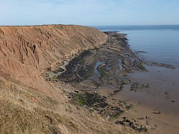 Filey Brigg - Carr Naze.JPG