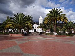 Floresta - Boyaca (2)