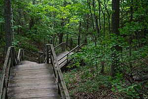 Fort holmes stairs 2014 n8