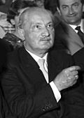 Heidegger 2 (1960)