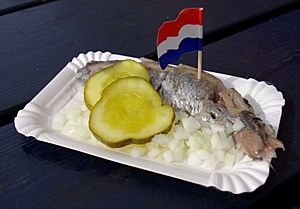 Hollandse Nieuwe 001