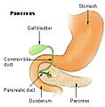 Illu pancrease