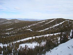 June Mountain Skiing