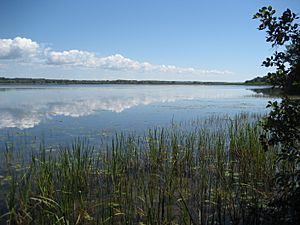 Lakeview Pond NY