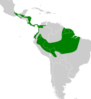 Lophostrix cristata map.svg