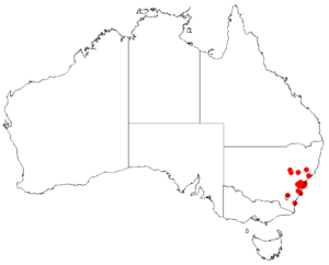 Macrozamia spiralis Dist Map24.png