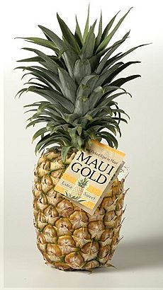 Maui Gold Pineapple