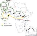 Molecular-Evolution-of-Zika-Virus-during-Its-Emergence-in-the-20th-Century-pntd.0002636.g002