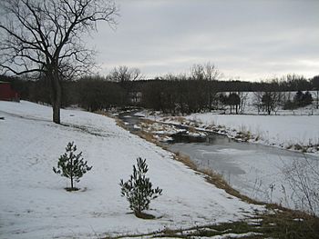 Ogle County Pine Creek1.jpg