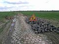 Paris-Roubaix, Les travaux réalisés en 2008