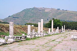 Pergamon Acropolis