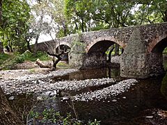 Puente Camino Real.