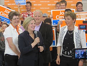 Rassemblement du Nouveau Parti démocratique de l'Ontario, Sudbury - 26 mai 2014