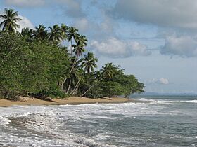 Steps Beach Rincon