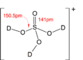 Structure of protonated sulfuric acid