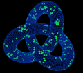 Trefoil knot conways game of life