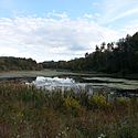 Thumbnail image of Upper Deckers Creek WMA