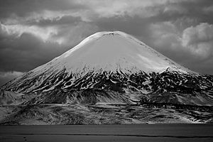 Volcan Parinacota (lago chungara)