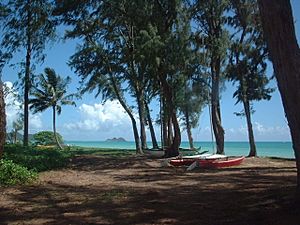 WaimanaloBeach boats