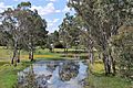 Wannon River Cavendish