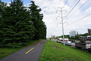 Washington and Old Dominion Trail, looking east; Arlington, VA; 2014-05-17