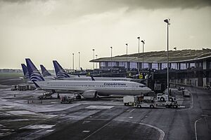 Aircraft at Tocumen International Airport 01