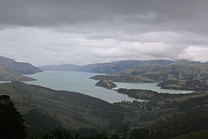 Akaroa Harbour 28