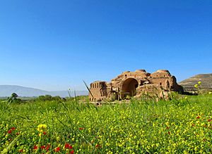 Ardashir Babakan's Palace in FiruzAbad