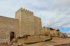 BA-R.A. Semibaluarte de San Antonio 29