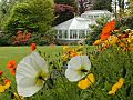 Bathhouse and Poppies at Mona Vale