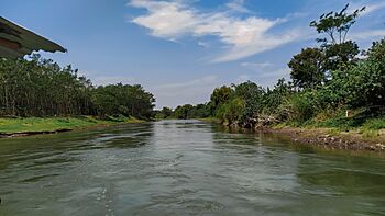 Brantas River in Minggiran, East Java.jpg