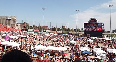 Buffalo wing fest crowd