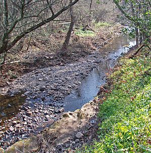 Calabazas creek above sonoma creek cm hogan.jpg