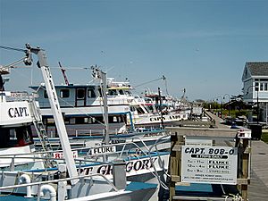 Captree state park NY docks